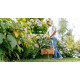Тример електричний BOSCH EasyGrassCut 23 06008C1H01 - зображення 4
