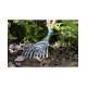 Комплект садового инструмента Gardena Comfort Ergo 08964-30.000.00 - изображение 3