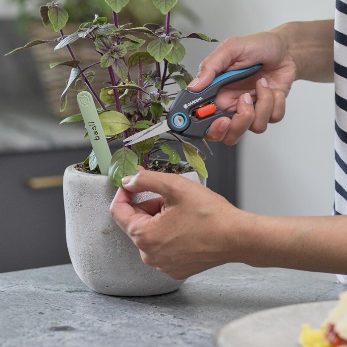Набір для балконного садівництва у скриньці GARDENA Balcony Box 08971-20.000.00 - зображення 2