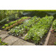 Комплект микрокапельного полива для клумб и грядок Gardena Micro-Drip-System 13015-20.000.00 - изображение 8