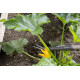 Рыхлитель Gardena NatureLine 17108-20.000.00 - изображение 4