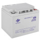Аккумулятор LogicPower AGM LPM-MG 12 В 45 Ач 6559 - изображение 2
