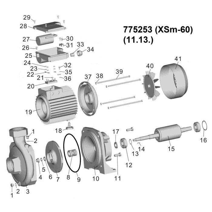 Насос відцентровий LEO XSm-60 775253 - зображення 2