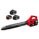 Воздуходувка аккумуляторная GTM ABC36/774BL_KIT