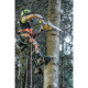 Ланцюгова пила акумуляторна DeWALT DCMCST635X1 - зображення 8