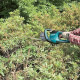 Кусторез электрический Makita UH6580 - изображение 6