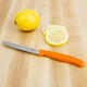 Кухонный нож Victorinox SwissClassic Tomato&Table 6.7836.L119 Vx67836.L119 - изображение 6